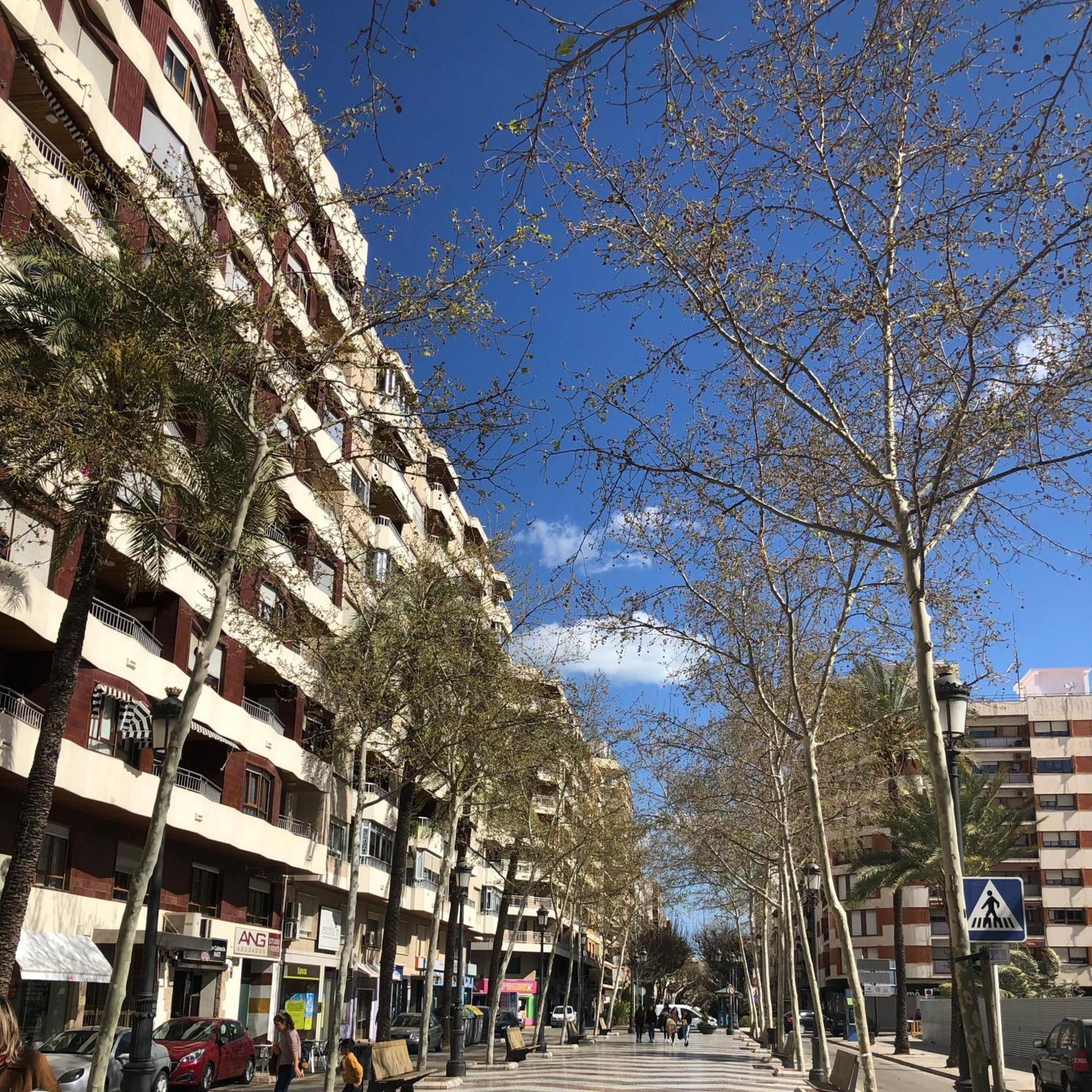 Habitaciones En Gandia A 5 Min Del Centro Historico מראה חיצוני תמונה
